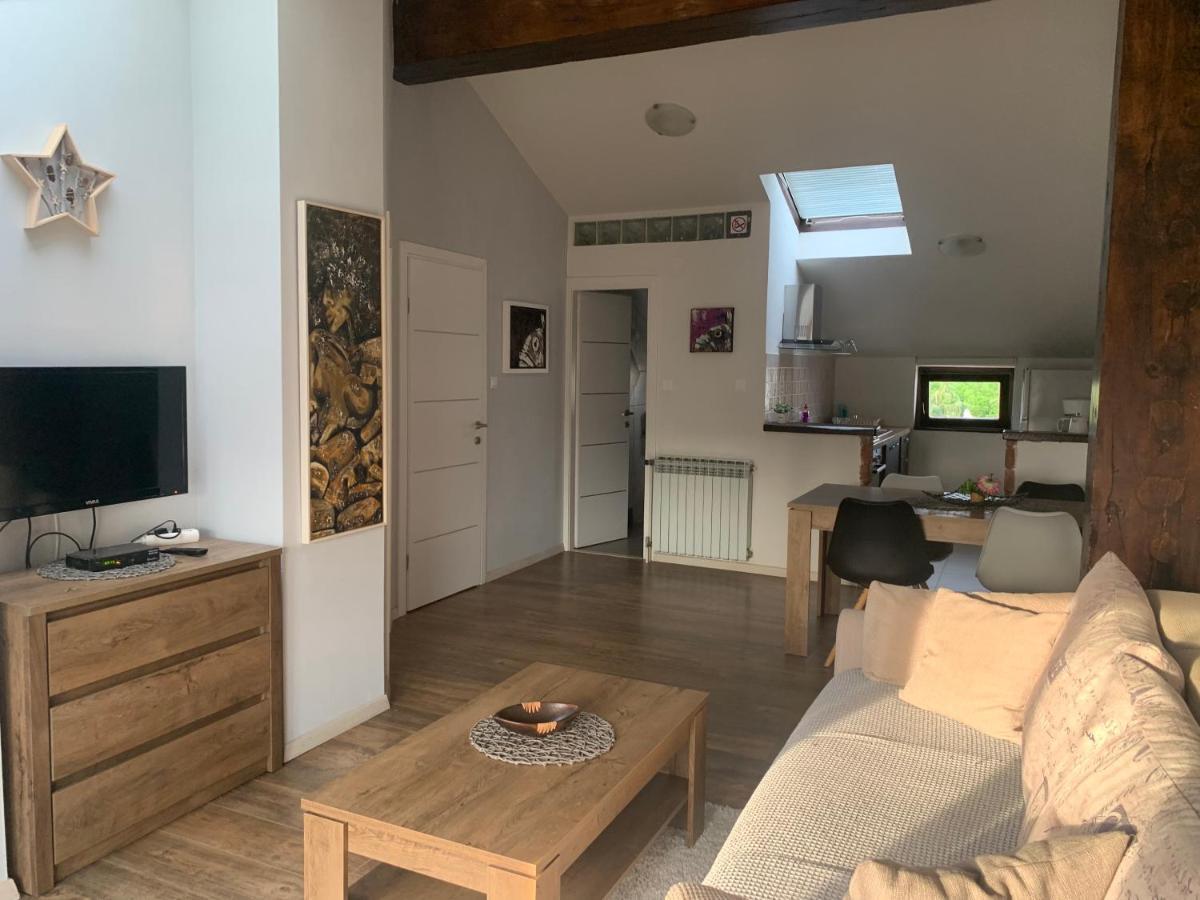 Apartman Klesinger 2 波雷奇 外观 照片